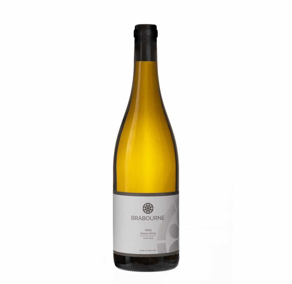 Brabourne 2023 White Pinot Noir