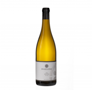 Brabourne 2023 White Pinot Noir