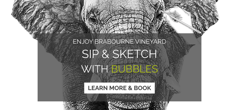 Sip & Sketch with Bubbles