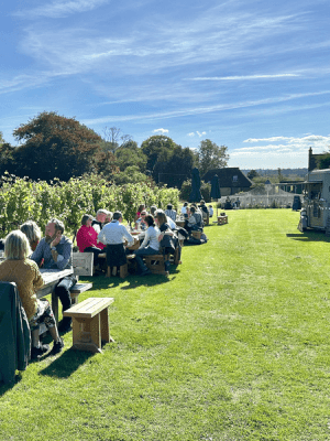Vineyard Open Day