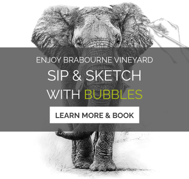 Sip & Sketch with Bubbles