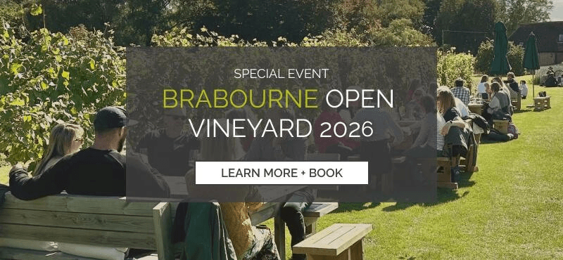 Vineyard Open Day