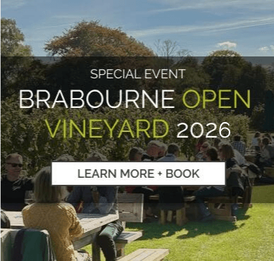 Vineyard open Day
